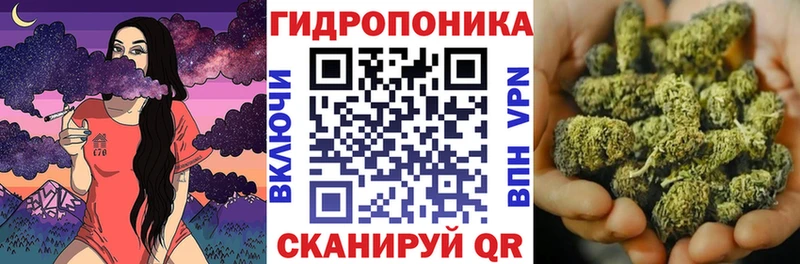 Какие есть наркотики Сосновка Канабис Альфа ПВП ГЕРОИН Псилоцибиновые грибы Кокаин Мефедрон