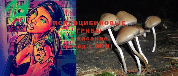 винт Михайловка