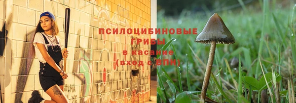 дмт Алексеевка