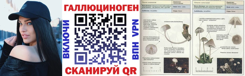 Галлюциногенные грибы мицелий  kraken зеркало  Сосновка 