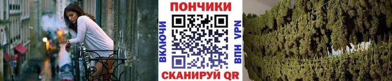 Бошки Шишки SATIVA & INDICA Сосновка